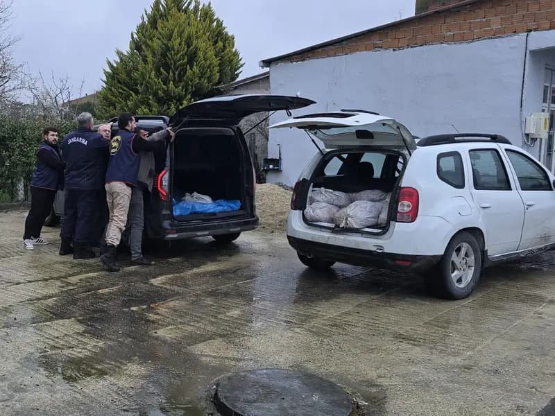 İstanbul Silivri'de 306 Kilogram At Eti Ele Geçirildi