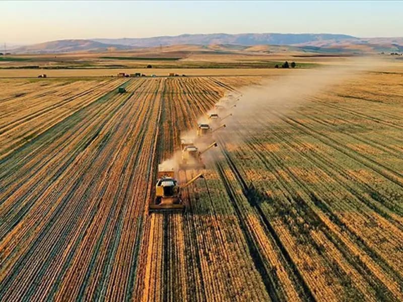 Tarımsal Destekleme Ödemeleri Bugün Yapılıyor