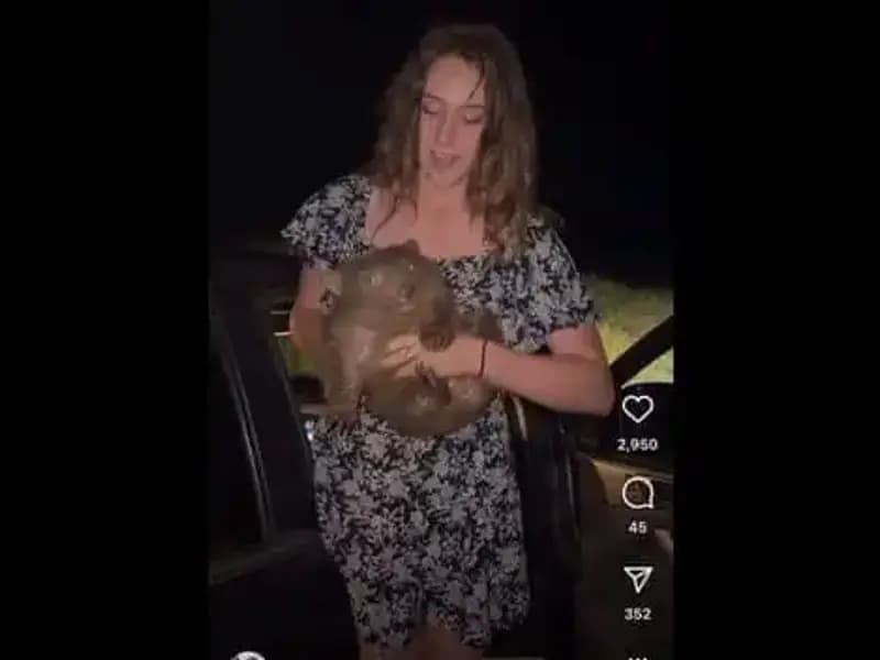 Yavruyu Annesinden Ayıran Anların Ardından Ülkeyi Terk Eden Vatandaş