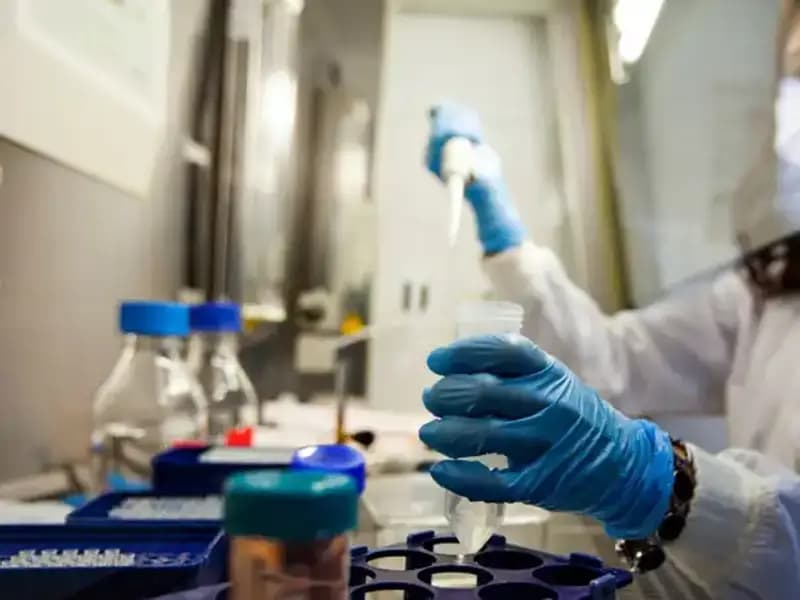 Bilim İnsanları, Karaciğer Kanserinin Gizemini Aydınlattı: Yeni Keşifler