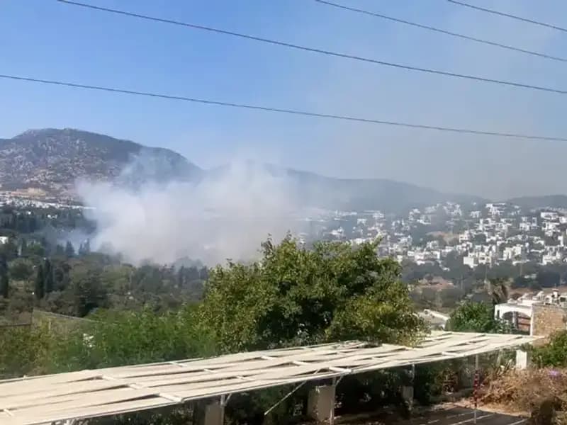 Muğla Orman Yangınları Kontrol Altına Alındı: Doğa Yeniden Canlanıyor