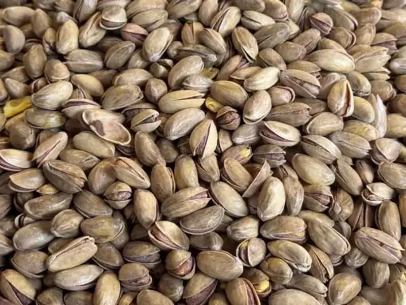 Yılın İlk Çeyreğinde Fıstık İhracatında Rekor: 59,7 Milyon Dolar!