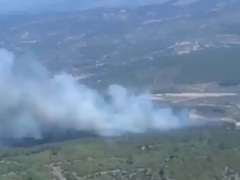 Gazipaşa'da Yangın Alarmı: Ormanlık Alan Alev Alev Yandı