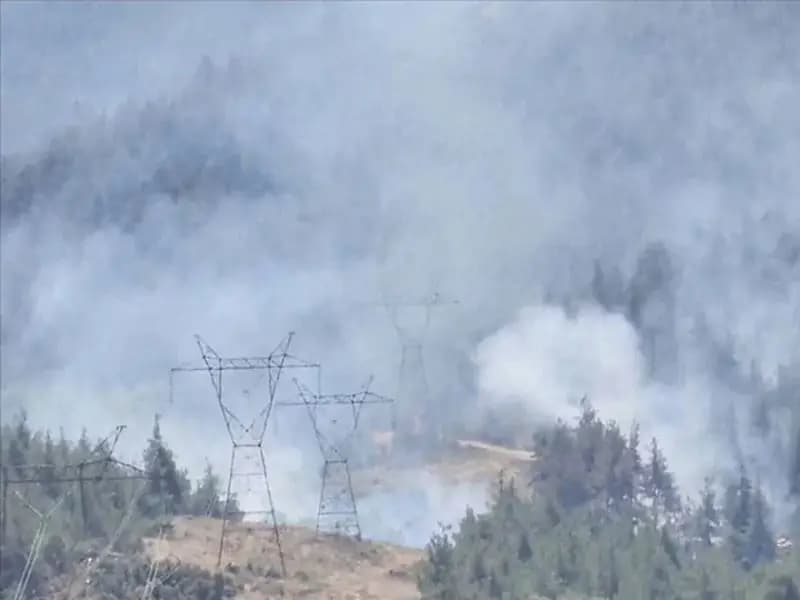 Bursa'da Orman Yangını: Ekipler Çalışmalarını Sürdürüyor