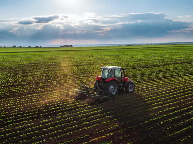Ekonomik Büyüme Tarımı Neden Kurtaramıyor? Çarpıcı Gerçekler Açıklanıyor!