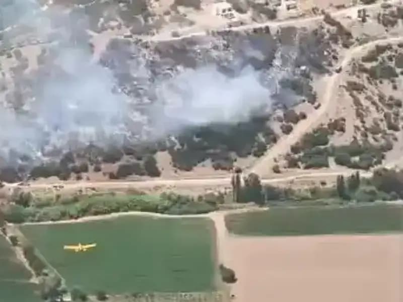 Milas'taki Yangın Kontrol Altına Alındı: Son Gelişmeler Neler?