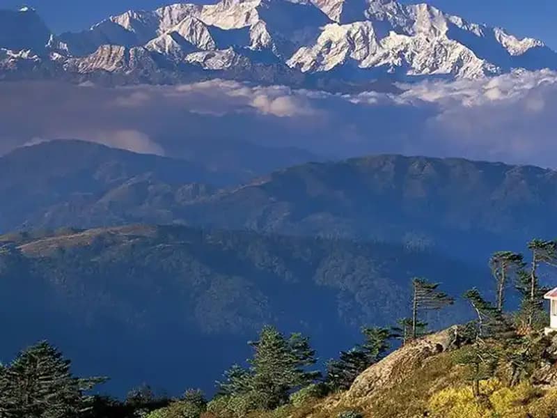 Pakistanlı Kadın Dağcı, Dünyanın En Yüksek 12 Zirvesine Tırmanarak Tarih Yazdı