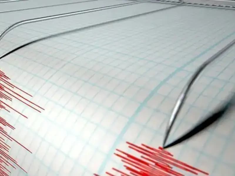 Yeni Zelanda'da Şiddetli Deprem! Son Gelişmeler ve Etkileri Neler?