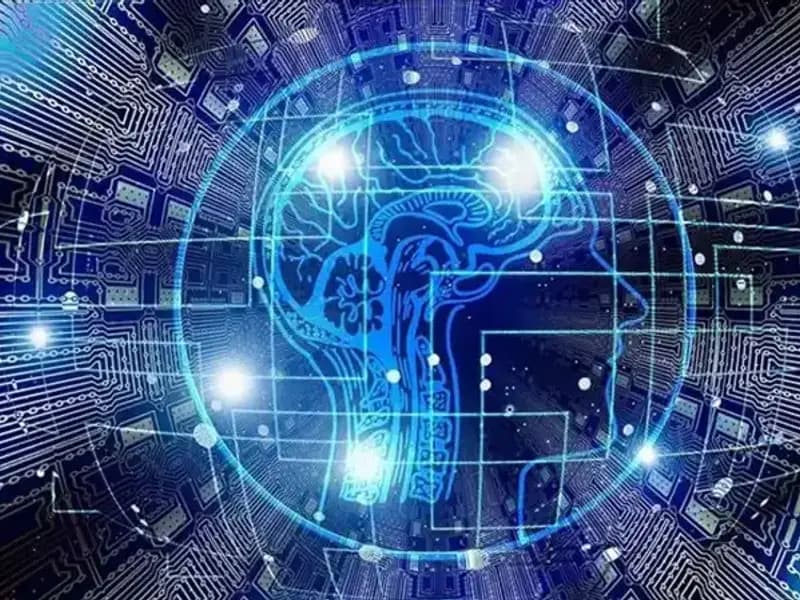 Kripto Para Dünya'sında Fırtına: Bot Sürüleri Dolandırıcılık İçin Sahneye Çıkıyor