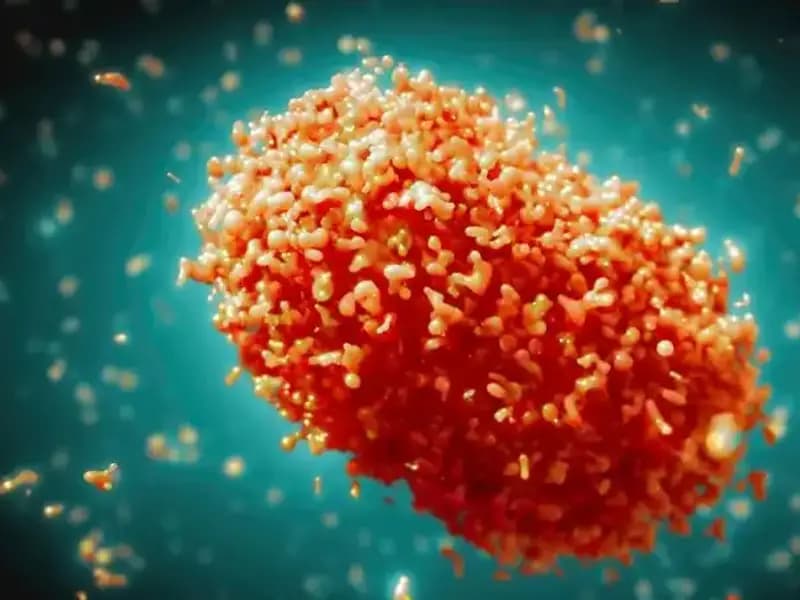 Maymun Çiçeği Vakalarında Şok Artış: Sağlık Otoritelerinden Acil Karantina İlanı