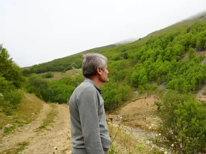 Gümüşhane'den Örnek Proje: Emekli İmam 50 Bin Ağaç Dikti