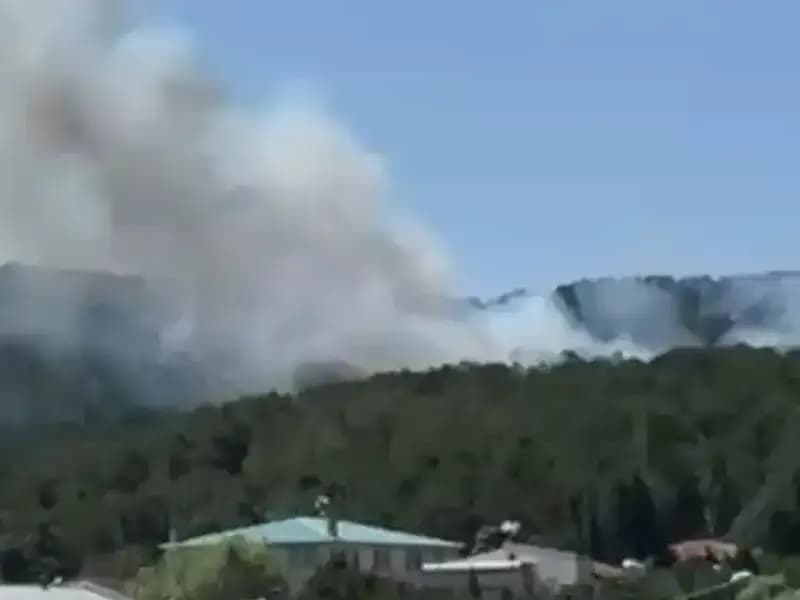 İstanbul'un Aydos Ormanı'nda Yangın: Kontrol Altına Alındı, Neler Yaşandı?