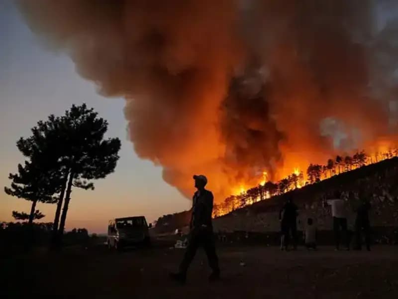 Bursa'da Yangın Felaketi: 3 Bin Hektar Orman Yok Oldu, Yenilenmesi 100 Yıl Sürecek