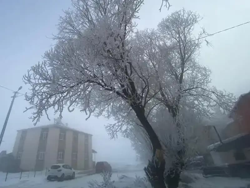 Bu Kış Göle'de Eksi 18 Derece Hissedildi, Neler Oluyor?