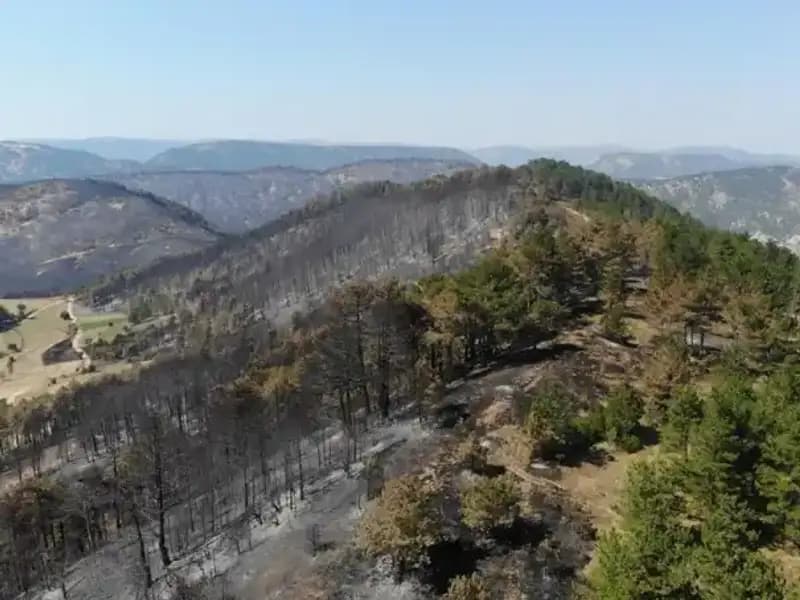 Bolu'da 5 Milyon Fidanın Toprakla Buluşacağı Büyük Yeşil Proje