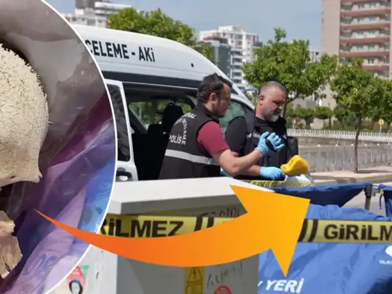 Sitenin Çöpünden Çıkan Kafatasının Sırrı: Uzman Doktor Gözaltında!