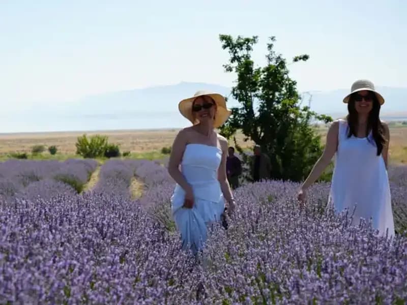Göl Manzaralı Mor Bahçelerde Hasat Zamanı: Mis Kokulu Güzellikler