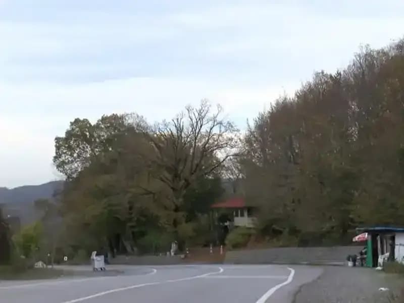 İstanbul Şile'de 21 Mahalle İçin Şap Karantinası Zorunluluğu