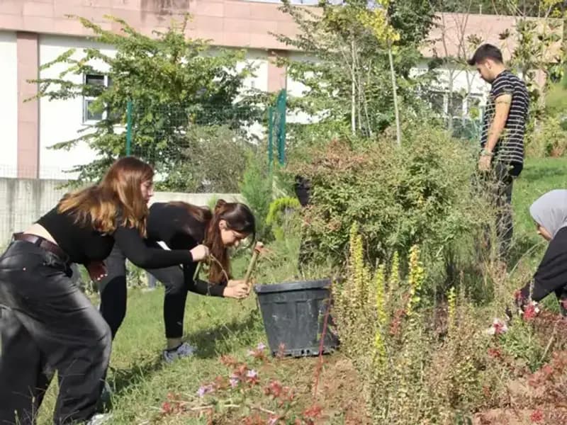 Düzce'den Dünyaya Açılan Kapı: Hayalin Gerçekleşmesi