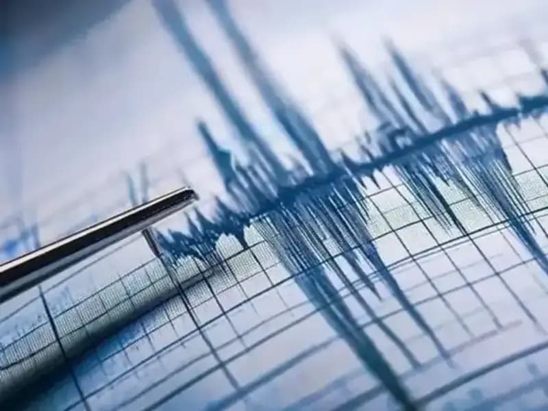 Ege Denizi'nde Şiddetli Deprem: 4,8 Büyüklüğünde Sarsıntı