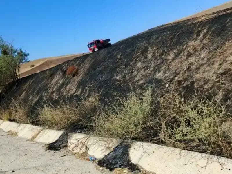 Elazığ'da Büyüyen Otluk Yangınının Korkunç Sonu: Yangın Kontrol Altında