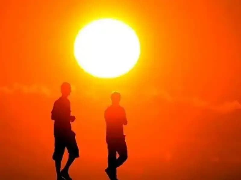 Türkiye'yi Bekleyen Sıcak Hava Dalgasının Etkileri ve Önlemler