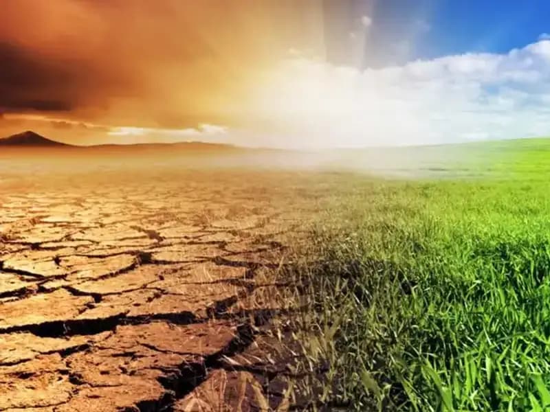 Türkiye'nin İklim Kanunu: Sera Gazı Emisyonlarını Azaltacak Önemli Adımlar