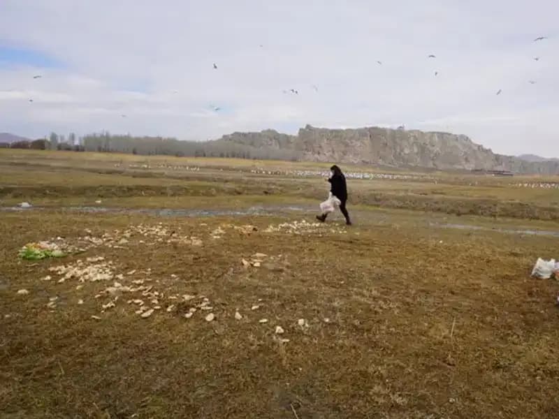 17 Yıldır Ekmek Kırıntısı Toplayan Adamın Hikayesi