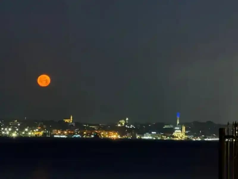 İstanbul'da Çilek Dolunayı: Hatıraların Görsel Şöleni