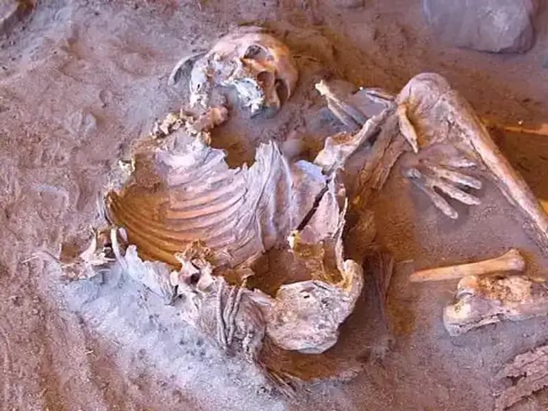 Yeni Mumya Keşfi, İnsanlığın Soy Ağacını Yeniden Şekillendiriyor!