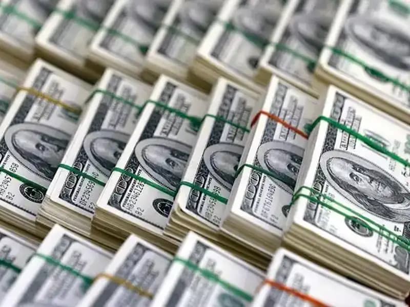 Doların Hızla Yükselişi: Ekonomik Endişeler Artıyor