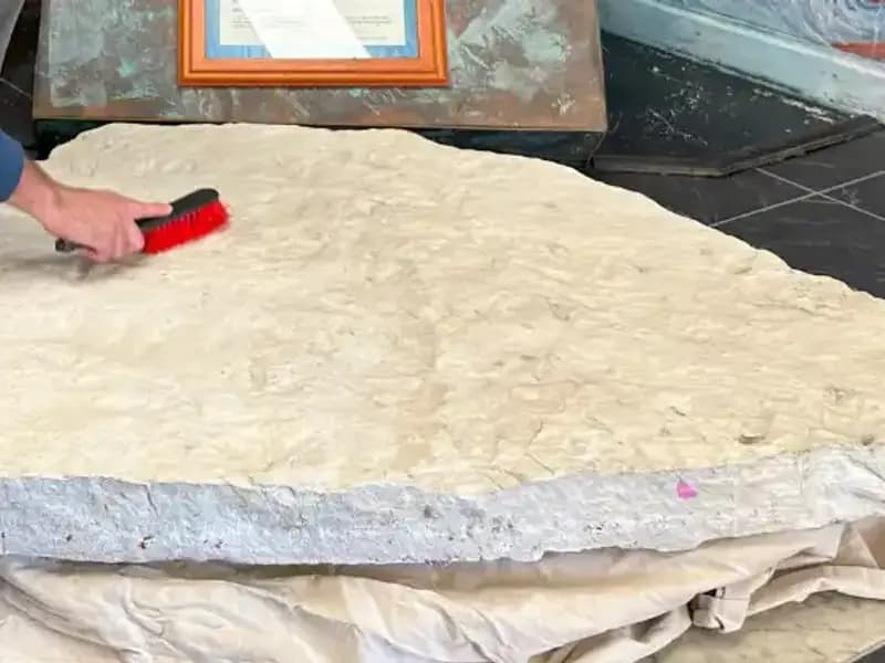 Okul Bahçesinde Tarihi Keşif: 200 Milyon Yıllık 66 Dinozor Ayak İzi Bulundu