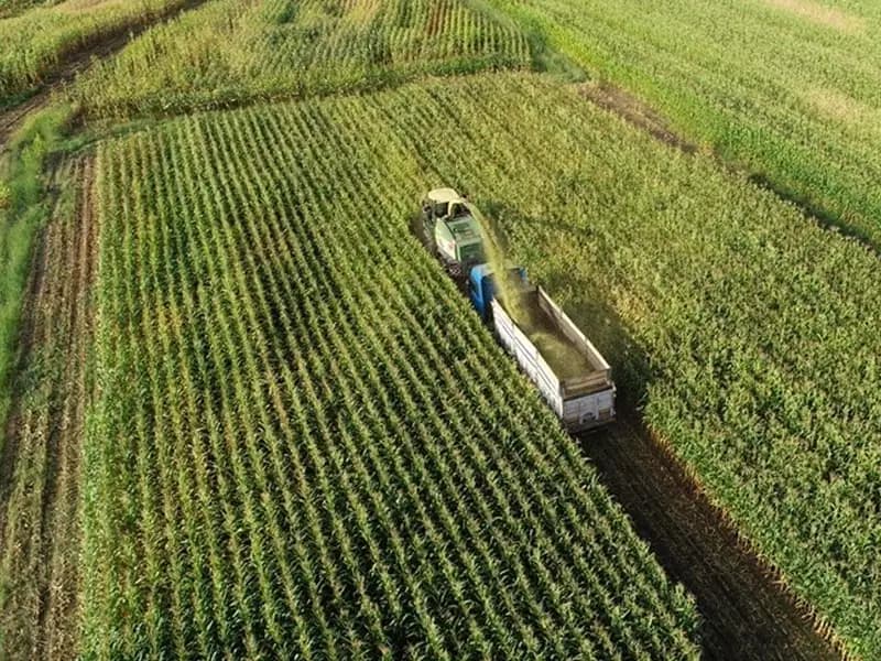 Üreticilere 2,3 Milyar Lira Destekleme Ödemesi