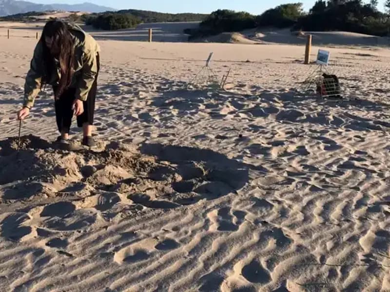 Geceleyin Bu Sahillere Giriş Yasak! Cezası Neden Bu Kadar Yüksek?