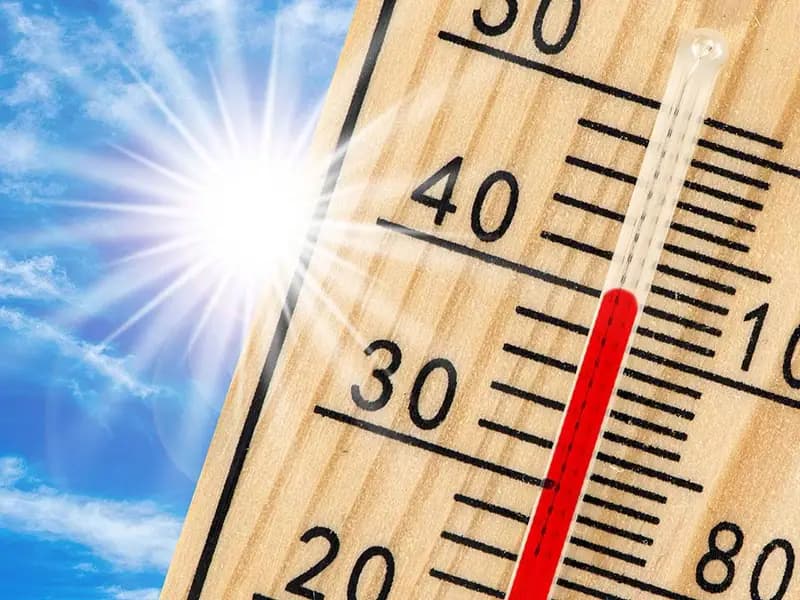 Dünya 2024'te Rekor Sıcaklıkta!