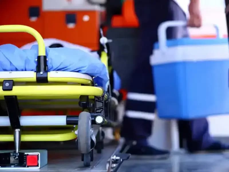 2025'te Türkiye'de En Çok Hangi Organ Nakli Gerçekleşti?