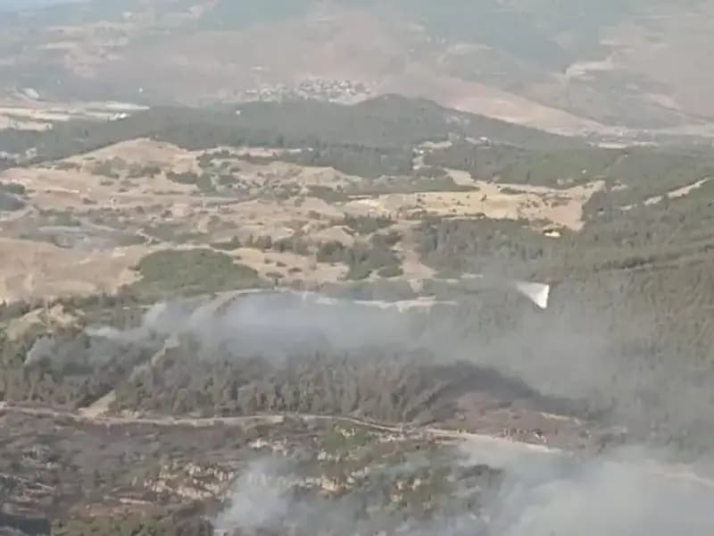 İzmir'deki Orman Yangını Kontrol Altına Alındı: Son Gelişmeler