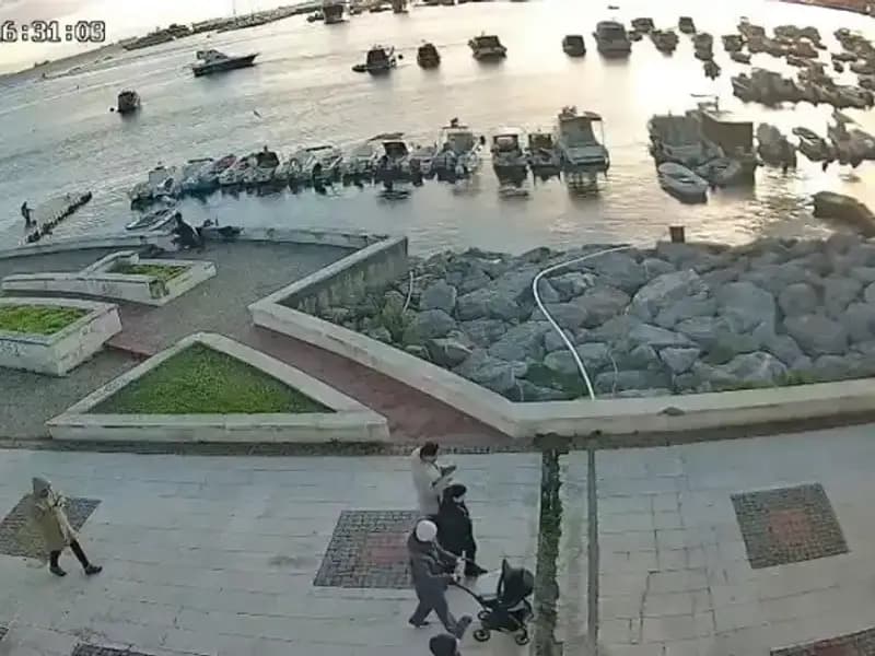 Kediyi Denizle Buluşturan İkili: Oltasındaki Balığa Avlanan Adam!