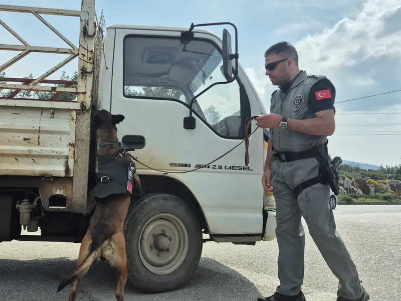 Bodrum'a Bayram Öncesi 25 Bin Araç Girişi Gerçekleşti