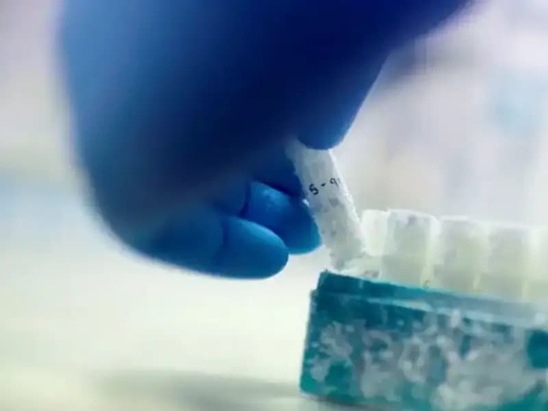 Çocuklar ve Sperm Donörü: Tıbbi Felaketin Gölgesindeki Gerçekler