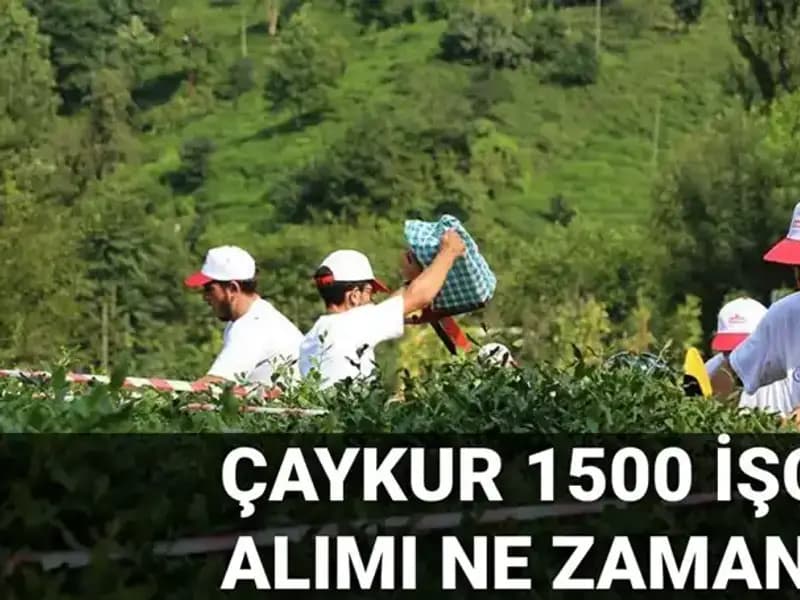 Çaykur İşçi Alımıyla İlgili Başvuru Tarihleri Açıklandı!
