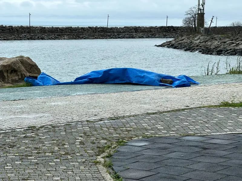 Ordu'da Sahile İnsansız Hava Aracı Vurdu, İnceleme Başlatıldı