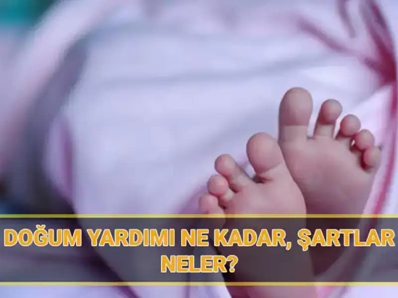 2025 Doğum Yardımı Başvuruları Başladı! Çocuk Parası Ne Kadar?