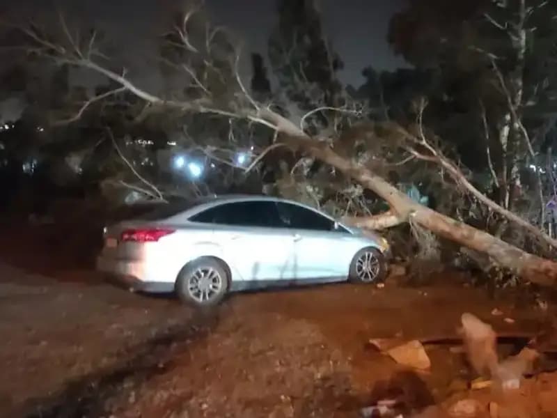 Hatay'da Şiddetli Fırtına: Tekneler Alabora Oldu, Ağaçlar Devrildi!