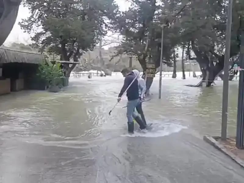 Manavgat Irmağı'ndaki Yükselen Sular, İşletmeleri Zora Soktu!