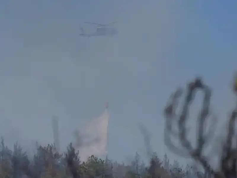 Ankara’daki Orman Yangını: Dumanlar Gökyüzünü Nasıl Kapladı?