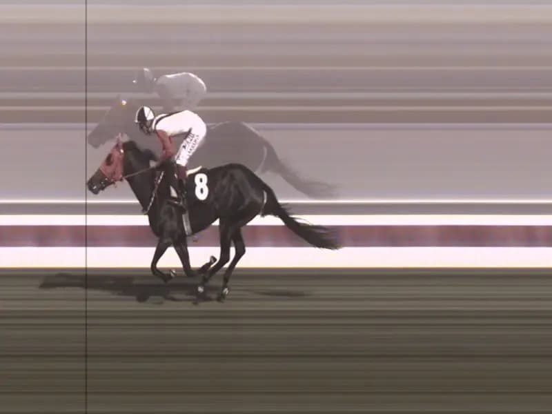 Mersin'de Kavurmada Çıkan At Eti, Yarış Atına Ait Çiple Belirlendi