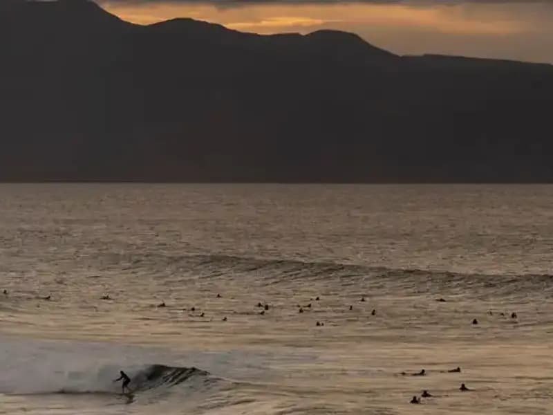 Büyük Depremin Ardından Keşfedilen Egzotik Yaratıklar Dünya Gündemini Sarstı