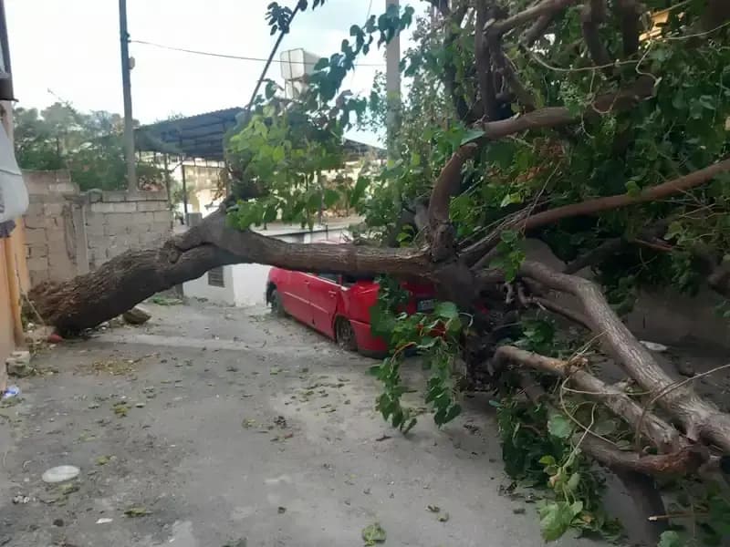 Hatay’ı Vurdu! Fırtına Ağaçları Devirdi, Çatıları Uçurdu