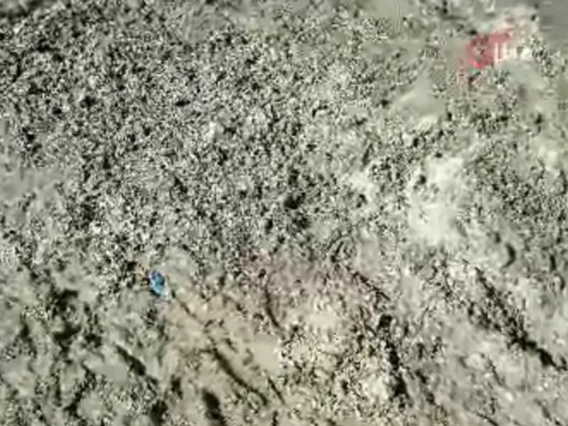 İstanbul’da Kayıp Çinli İş İnsanının Korkunç Cinayeti Ortaya Çıktı